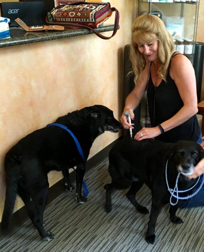 Chiropractor Dr. Michelle Zarzana restores mobility and comfort to my dogs.