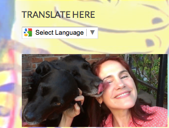 Picture of Google Translate button on Happiness Between Tails