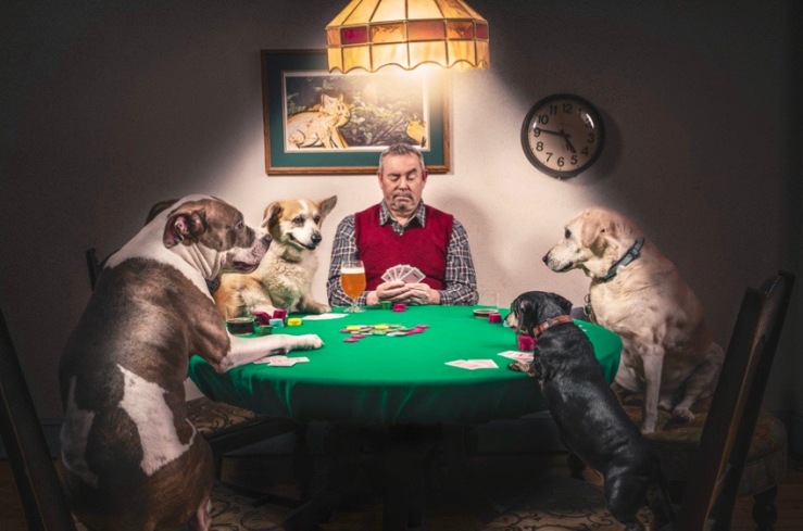 Man and Dogs Playing Cards by Ryan McGuire of Gratisography