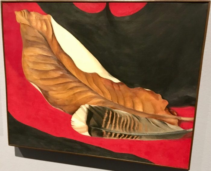 Feather and Brown Leaf, 1935, by Georgia O'Keeffe