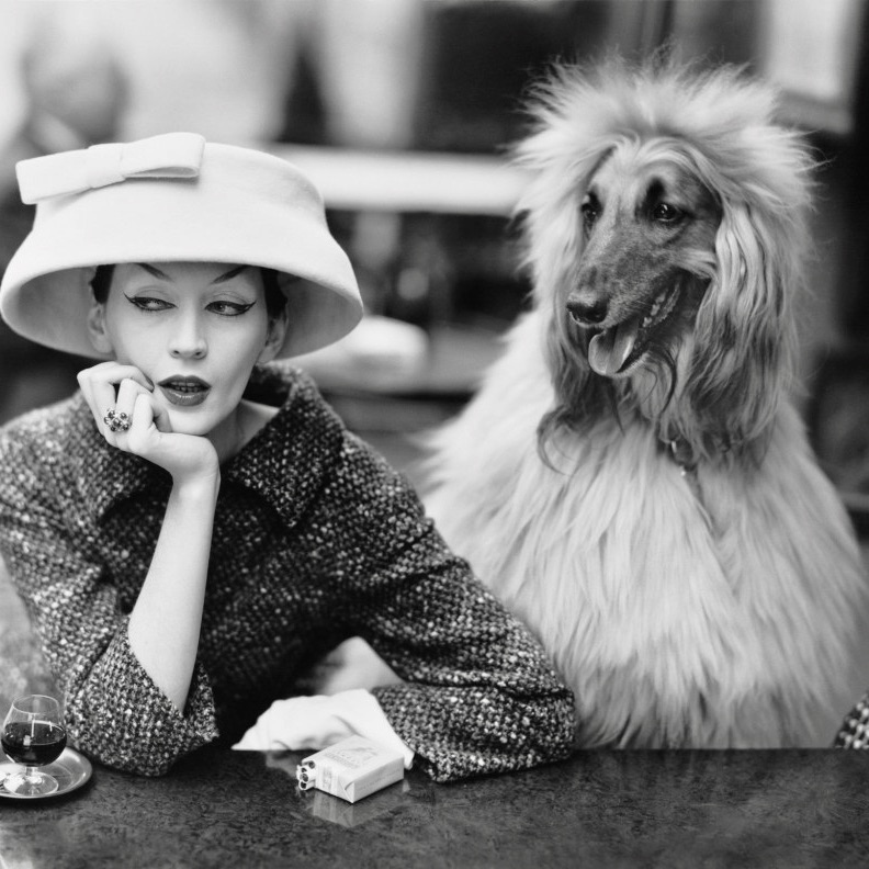 Photo of Dovima, a fascinating pioneer supermodel, in Balenciaga, with Sacha the dog, photo by stellar photog Richard Avedon, 1955. 